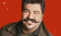 تصویری جالب از تولد لاکچری بهانم بانی در کنسرت‌اش