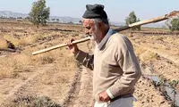 تصاویری از شغل جدید وزیر مشهور ایرانی که سوژه شد