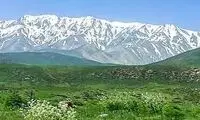 تصویر زیبایی که مرگ زاگرس را رقم می‌زند!