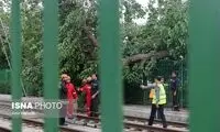 خیابان آزادی بر اثر سقوط درخت بسته شد