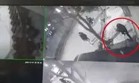 فیلم درگیری با چماق در بلوار دانشجو مشهد