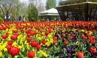پشت‌پرده تعطیلی باغ گل‌های کرج