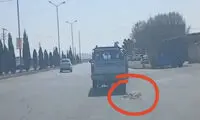 تشکیل پرونده قضایی برای فرد حیوان‌آزار در سمنان