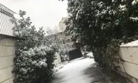 عکسی که نشان می‌دهد برف تهران هم برای پولدارهاست!