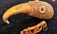 کلاغ طلایی بعد از 1400 سال از زیر خاک بیرون آمد