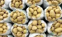 در میانه جنگ، وضعیت سیب‌زمینی کاملا جنگی شد!