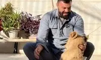 نگهداری از توله‌ شیر برای علی‌اکبری گران تمام شد!