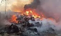 53 نفر در حادثه آتش‌سوزی فردیس سوختند