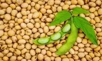 خواص بی‌نظیر یک آجیل خوشمزه و ارزان