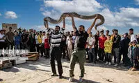 تصاویر وزنه‌زدن با مار چند صد کیلویی وسط خیابان