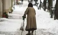رقص بامزه مادربزرگ ایرانی در خیابان دل همه را برد