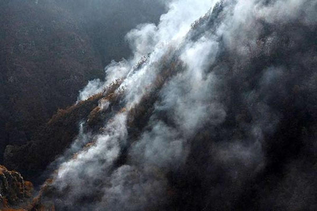 پیشروی آتش در الیت متوقف شده است