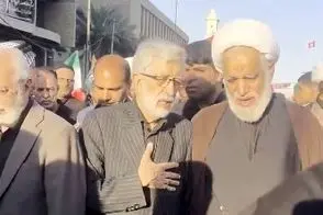 محسن رضایی و حداد عادل در نجف دیده شدند
