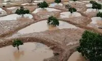 ایجاد کورسوی امید در وسط سیل به زیباترین حالت