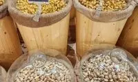 مردم ایران، برای همیشه با پسته خداحافظی کنید