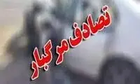 مرگ دردناک دو کودک ۲قلو با بی‌احتیاطی راننده