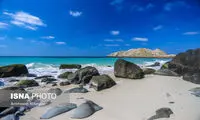 شرایط اهدای زمین رایگان به متقاضیان در جزیره ابوموسی
