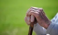 یک‌سوم جمعیت کشور تا سال ۱۴۳۰ سالمند می‌شوند