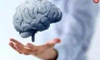 از  چه راهی مغز خود را ۲۰ سال جوان‌تر کنیم؟ 