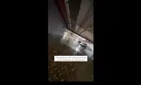 گریه‌های بی‌وقفه یک دختر ایرانی در دبی پربازدید شد