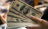 دلار اوج می‌گیرد؟