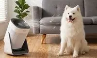 وقتی زندگی با حیوانات خانگی به چالش تبدیل می‌شود؛ راهکاری مدرن برای خانه‌ای پاکیزه و هوایی سالم