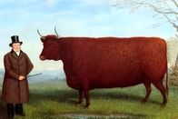 ماجرای نقاشی‌‌هایی که از گاوهای مستطیلی کشیده شده‌اند