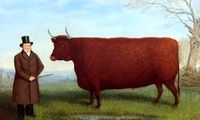 ماجرای نقاشی‌‌هایی که از گاوهای مستطیلی کشیده شده‌اند