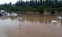 سرنوشت تلخِ یک گله گوسفند در سیل مشهد