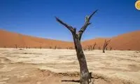 سفر به قدیمی‌ترین صحرای جهان که شما را شگفت‌زده خواهد کرد!