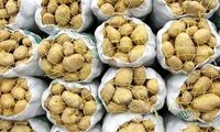 کاهش دوباره قیمت سیب‌زمینی و پیاز در بازار