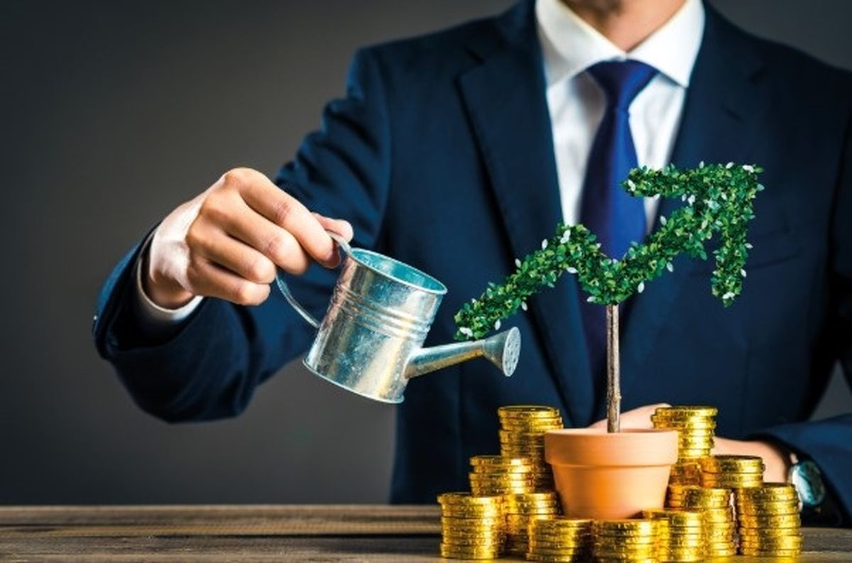  شرکت های سرمایه گذاری خطر پذیر چه تسهیلاتی ارائه می دهند؟ 