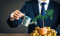 شرکت های سرمایه گذاری خطر پذیر چه تسهیلاتی ارائه می دهند؟