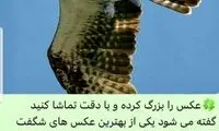 عکس و متنی پربیننده در فضای مجازی
