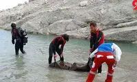 بلعیده شدن پسر جوان در رودخانه شهر جهرم