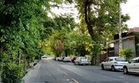 عاشقانه‌ترین نقطه از تهران که خیلی گرم و مهربان بود