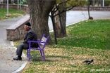 مهربانی در روزهای خالی تهران شکل این پیرمرد بالکن‌نشین بود