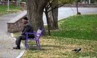 مهربانی در روزهای خالی تهران شکل این پیرمرد بالکن‌نشین بود