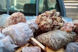 خبر تازه درباره واردات محموله گوشت‌های فاسد به ایران