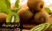 با به کارگیری متدهای روز دنیا ثروتمند شویم