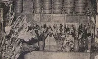 راز باغبانی که تهران را عاشق گل کرد!