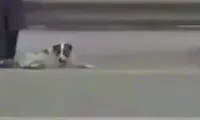 حرکت عجیب و شجاعانه زن ایرانی در وسط اتوبان!