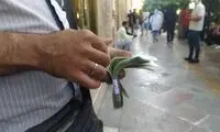  احتمال کاهش قیمت دلار قوت گرفت؟