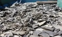 جنایت در چابهار برای «سوپ بال» خارجی‌ها