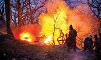 آخرین وضعیت مهار آتش در جنگل‌های الیت