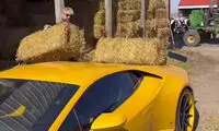 وقتی لامبورگینی در خدمت گاوداری درمیاد!
