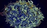 هفتمین نفر در جهان از «HIV» رهایی یافت