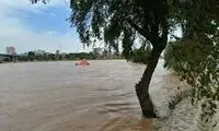 باران سیل‌آسا، پارک‌های دزفول را زیر آب برد!