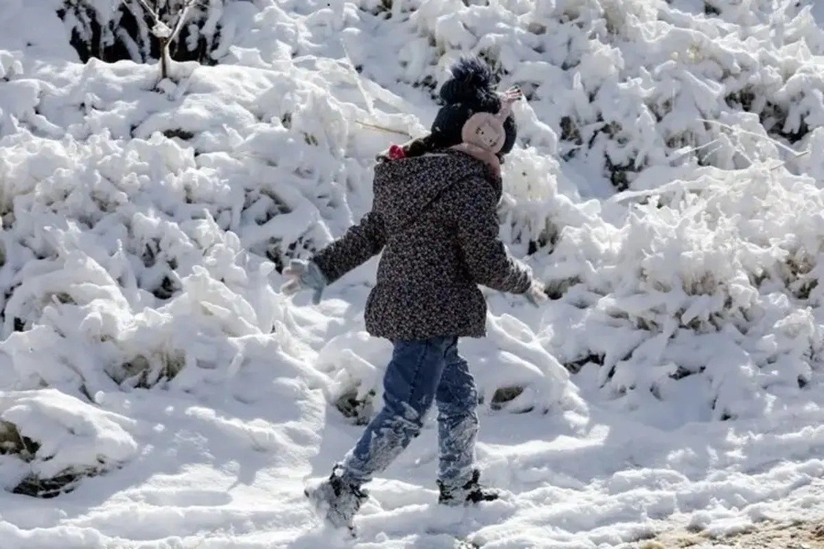 بارش برف، شهر مشهد را سفیدپوش کرد