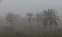 قابی جالب از مه و رطوبت ۱۰۰درصدی در آبادان